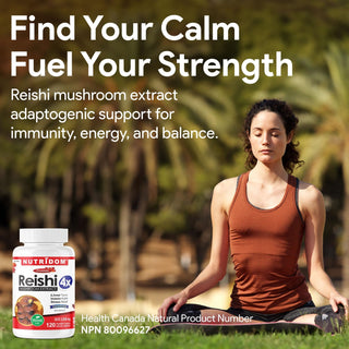 Reishi mushroom extract vegan capsules dietary supplement