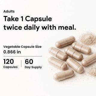 Reishi mushroom supplement bottle 120 vcaps