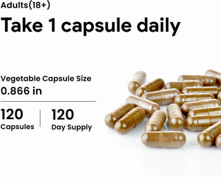 Saw Palmetto daily wellness supplement 120 vegetable capsules