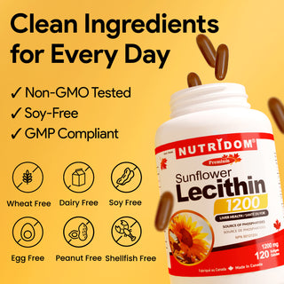 Sunflower Lecithin 1200mg | Source of Phosphatides | Liver Support | 120 Softgels