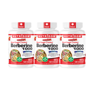 Nutridom Berberine HCL 500mg | Extracted from Barberry Root | Blood Sugar Support | 120 Vcaps - 3 Pack