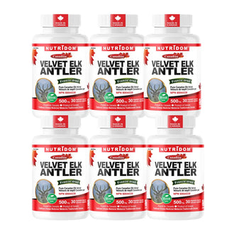 Velvet Elk Antler 500mg | Canadian Sourced | Freeze Dried | 30 Vcaps | 6 Pack
