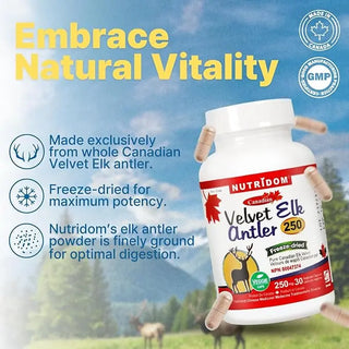 Velvet elk antler 250 mg freeze dried extract capsules
