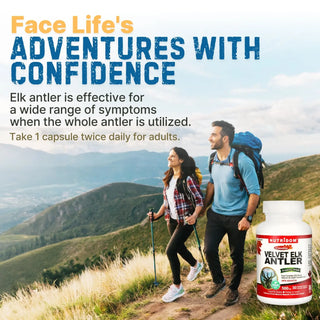 Velvet elk antler has a long history of use in traditional wellness practices