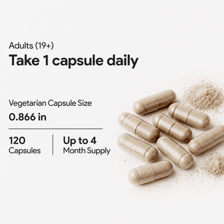 Moringa Leaf Extract 20x | 500mg | QCE 10,000mg | Antioxidant Support | 120 Vegan Capsules