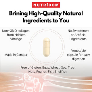 Nutridom Chicken Cartilage Collagen 500mg, Type II, Hydrolyzed (180 Capsules)