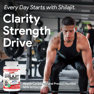 high altitude shilajit supplement 500 mg plant mineral formula