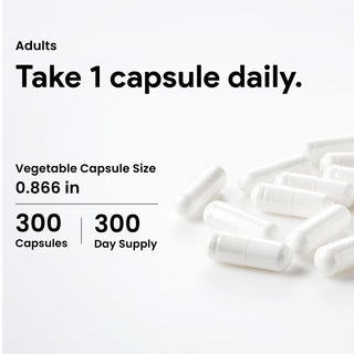 Nutridom L-Théanine 250 mg | Soutien contre le stress et équilibre cognitif | 300 gélules végétales