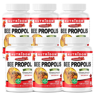 Nutridom Bee Propolis, 500 mg, 120 Veggie Capsules - 6 PACK - CAFORIA.CA