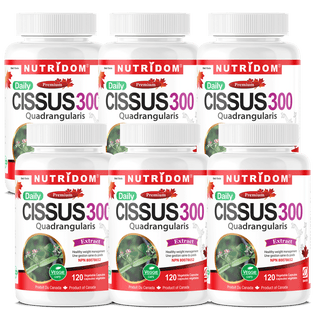 Nutridom Cissus Quadrangularis, 150 mg, 2.5% Ketosteroids, 120 Veggie Capsules - 6 PACK - CAFORIA.CA