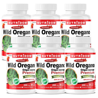 Nutridom Wild Oregano Oil, 200 mg, 30 Softgels - 6 PACK - CAFORIA.CA